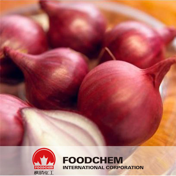 Onion Extract